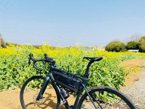 菜の花畑と自転車